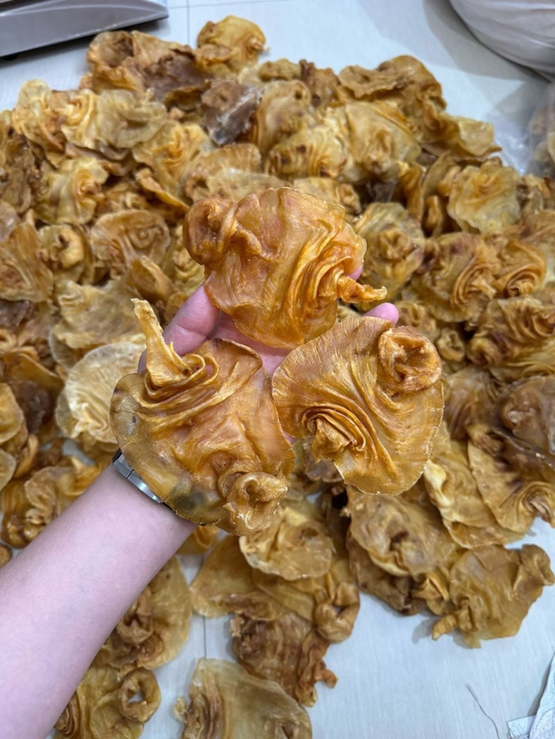 50头黑鳘赤嘴鳘胶广东广州越秀区产地花胶直发质优价美