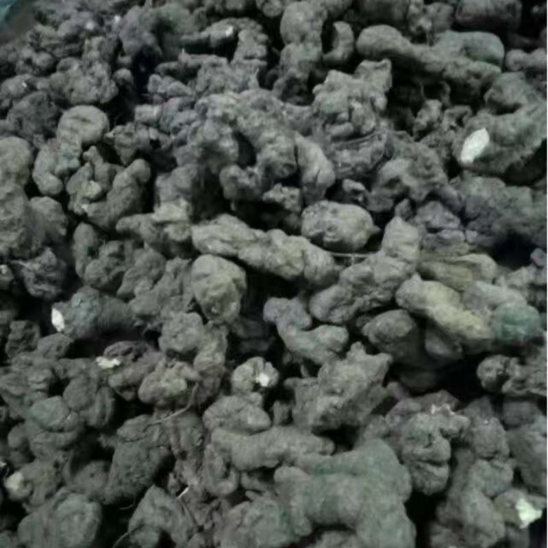 猪苓大量供应陕西产地直发，量大从优规格齐全