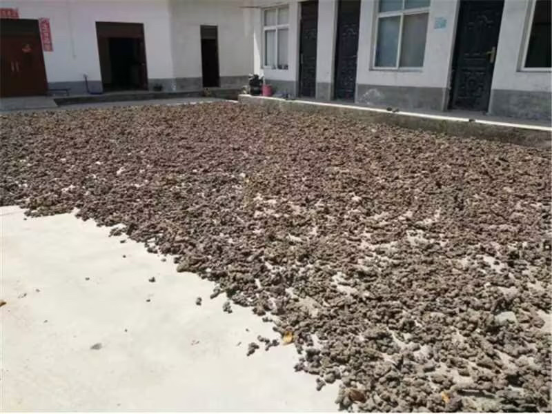 猪苓大量供应陕西产地直发，量大从优规格齐全