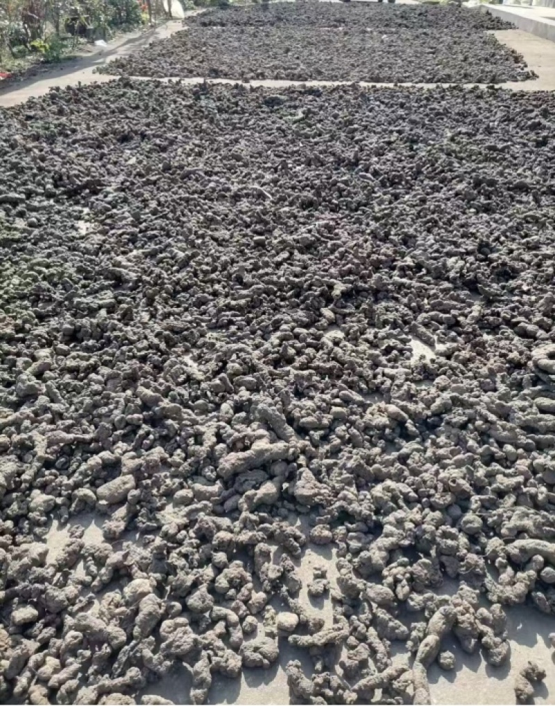 猪苓大量供应陕西产地直发，量大从优规格齐全
