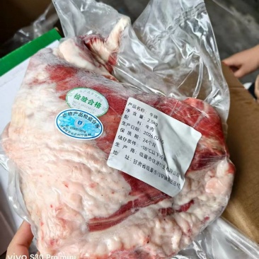 国产牛腩