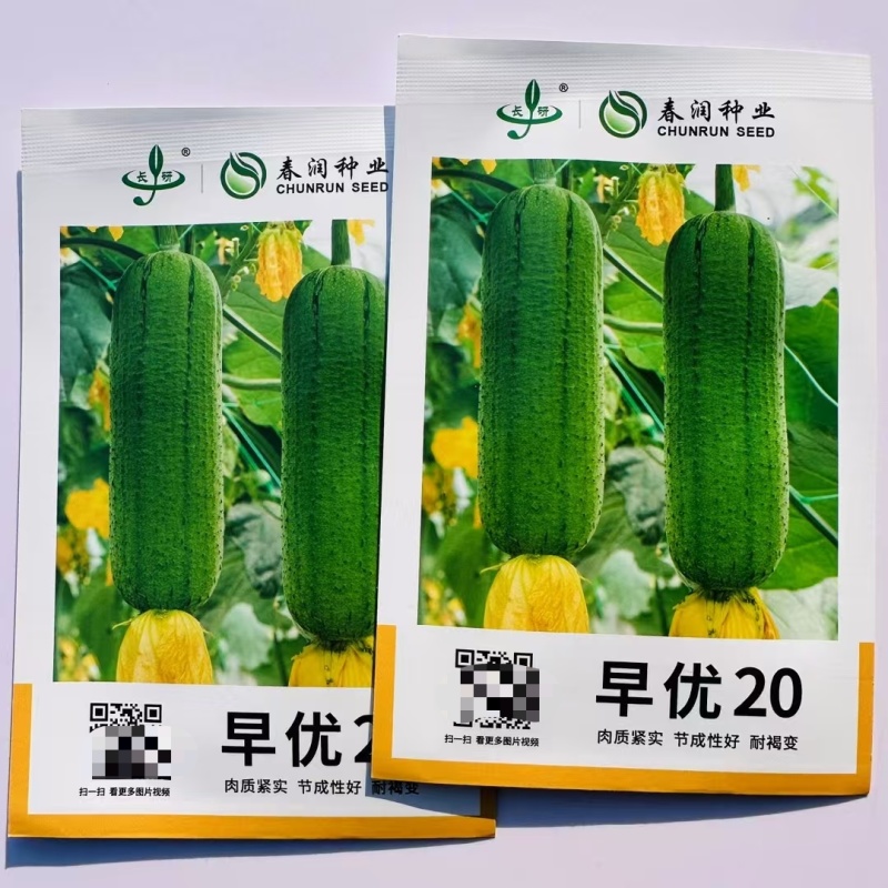 中田金品圆帅丝瓜种子中筒形绿皮肉丝瓜种籽高温不褐色口感