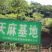 陕西天麻，天麻片大量供应一手货，规格齐全，量大从优