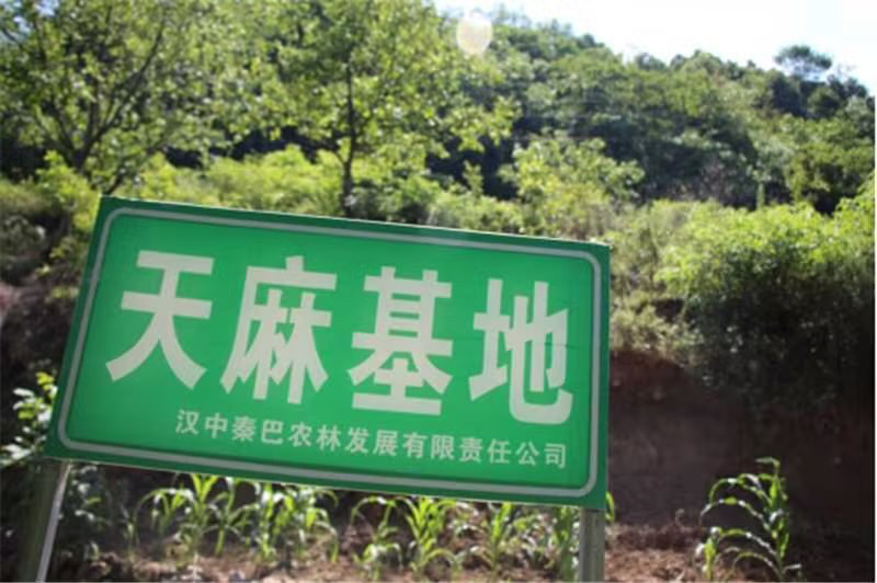 陕西天麻，天麻片大量供应一手货，规格齐全，量大从优