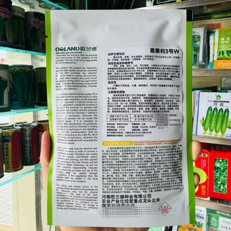 奶油生菜种子长势快耐寒耐热生菜叶片肥厚光滑甜脆春秋播种
