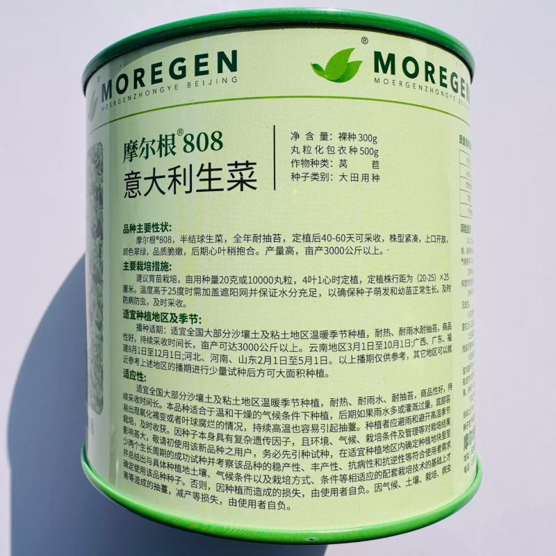 奶油生菜种子长势快耐寒耐热生菜叶片肥厚光滑甜脆春秋播种