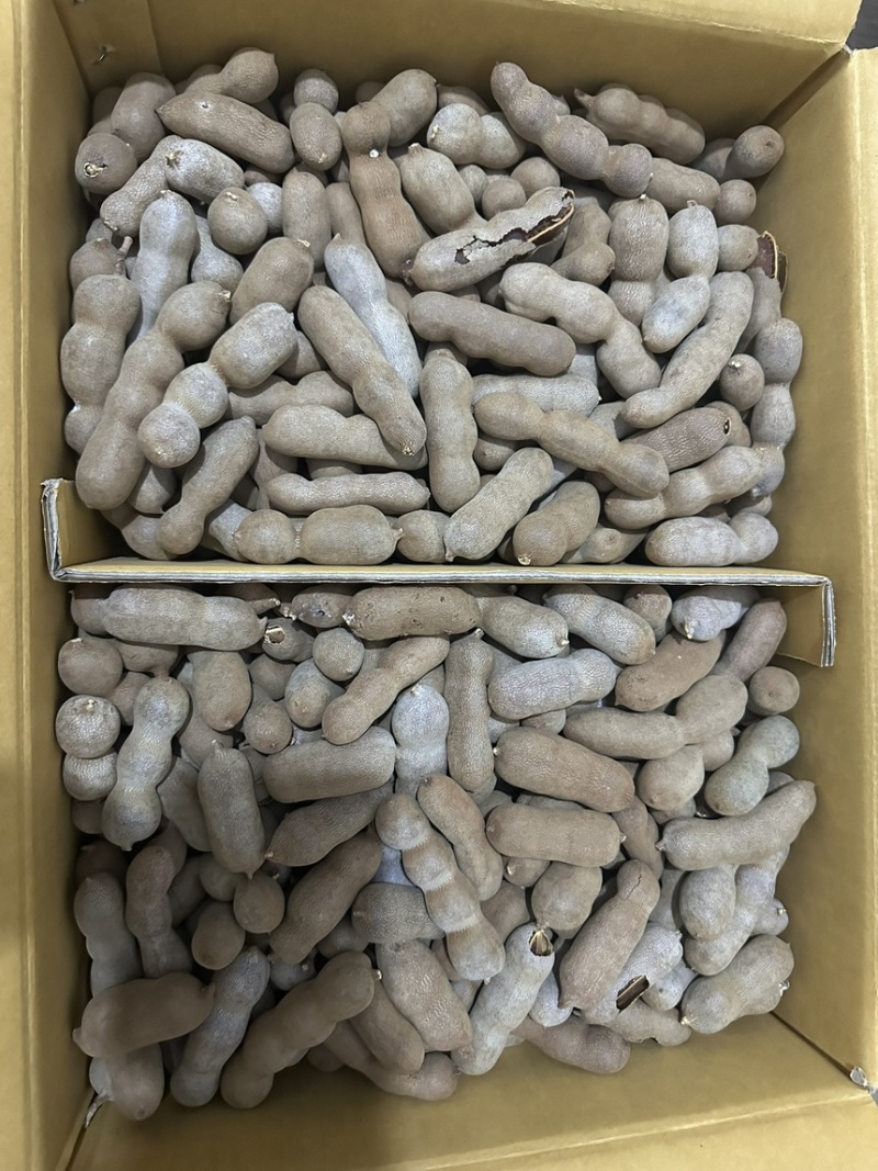 酸甜角