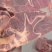 4407满肉牛脖骨