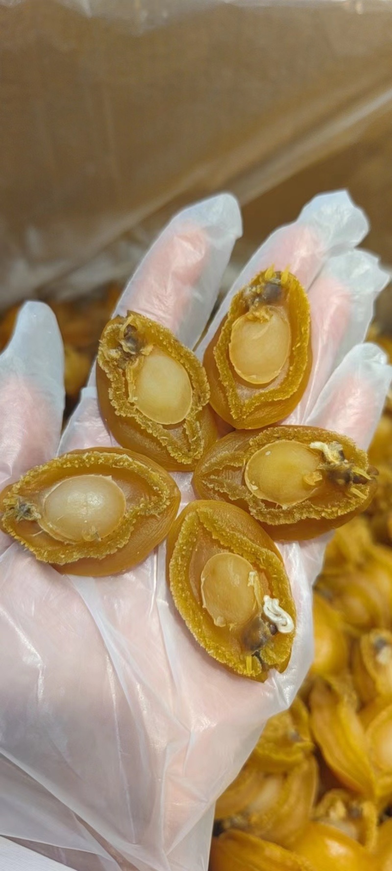大连鲍鱼广东广州越秀区产地直发各种水产干货都有