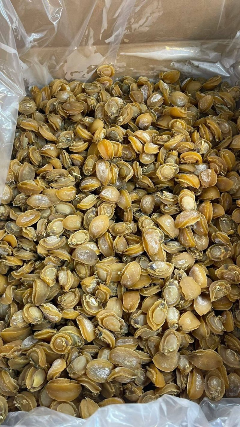 大连鲍鱼广东广州越秀区产地直发各种水产干货都有
