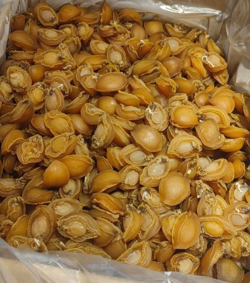 大连鲍鱼广东广州越秀区产地直发各种水产干货都有