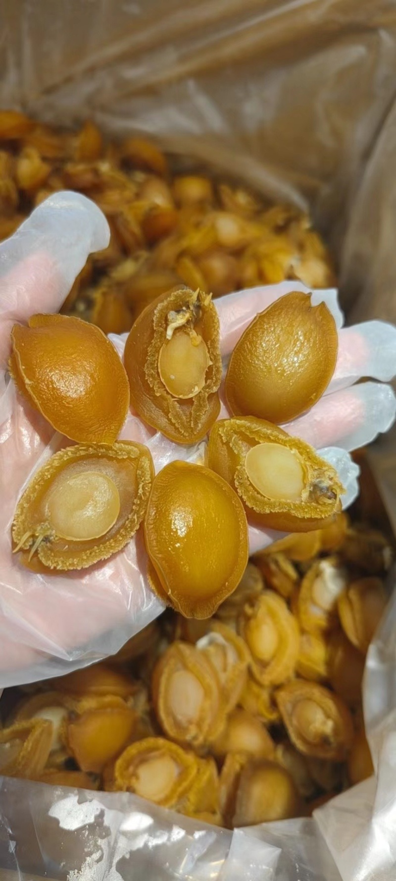 大连鲍鱼广东广州越秀区产地直发各种水产干货都有