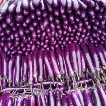 茄瓜🍆