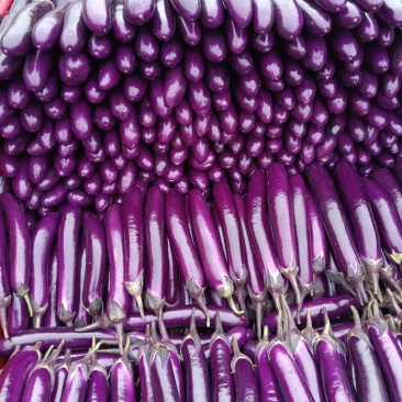 茄瓜🍆