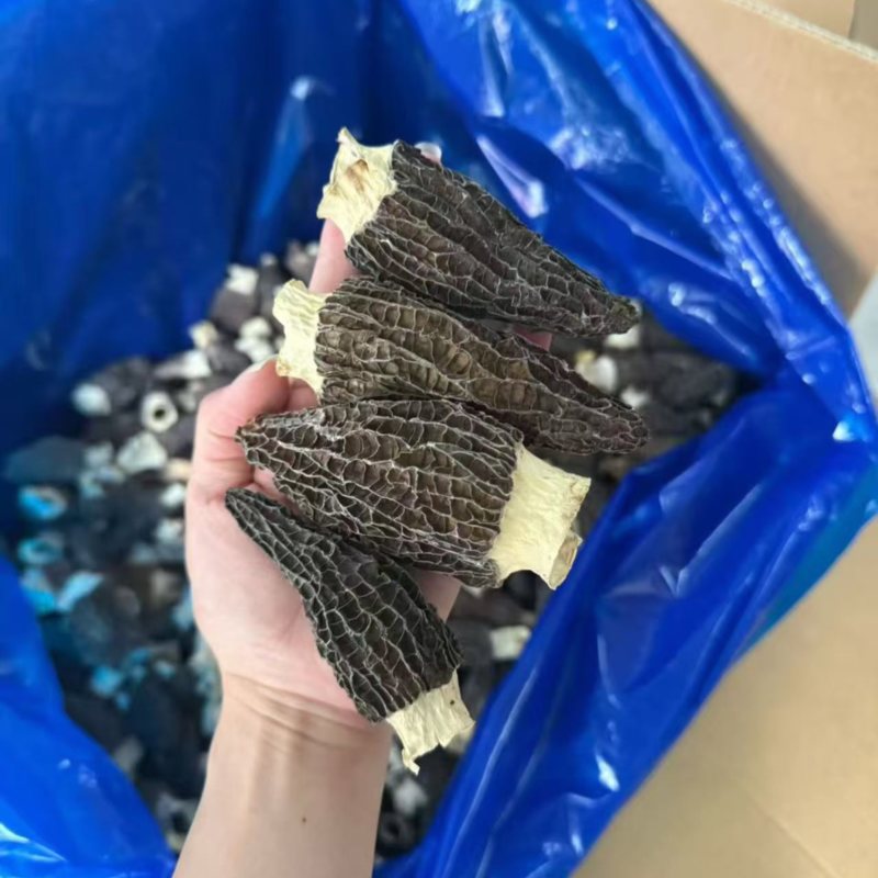 广东广州越秀区食用菌干货批发羊肚菌优质货可视频看