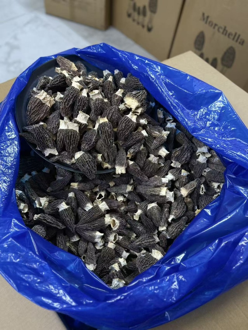 广东广州越秀区食用菌干货批发羊肚菌优质货可视频看