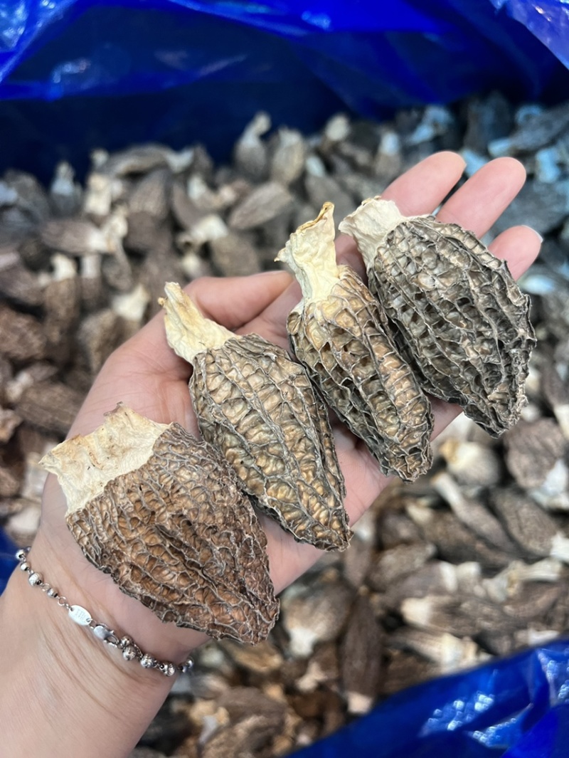广东广州越秀区食用菌干货批发羊肚菌优质货可视频看