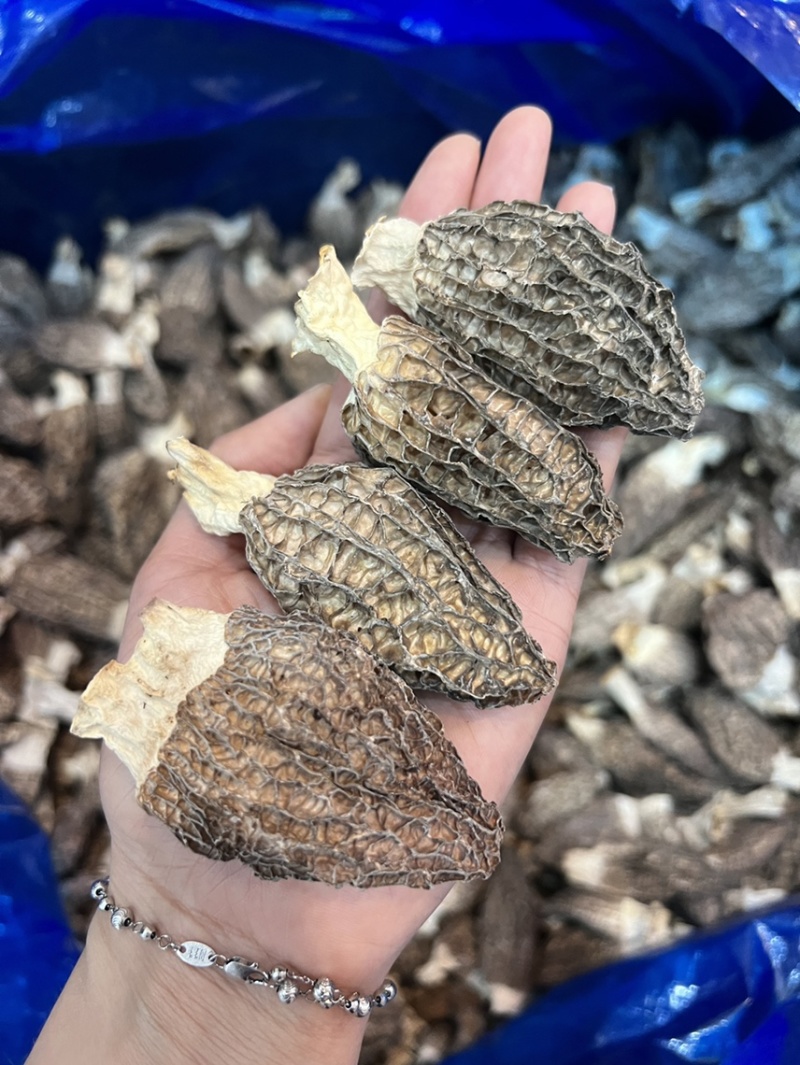 广东广州越秀区食用菌干货批发羊肚菌优质货可视频看