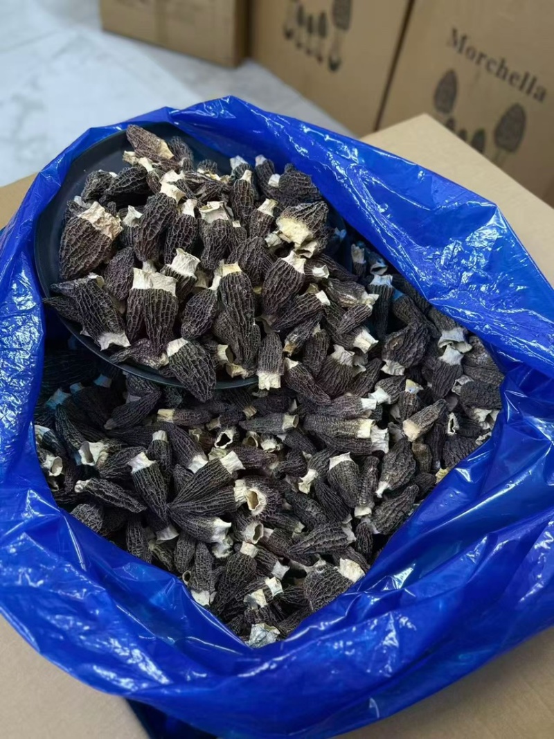 广东广州越秀区食用菌干货批发羊肚菌优质货可视频看