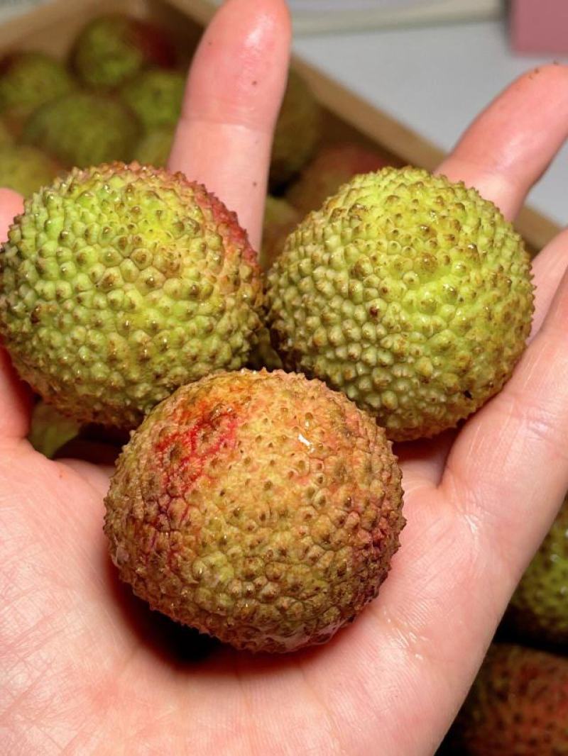 荔枝，现摘现发货！海南妃子笑荔枝大果，新鲜荔枝，包邮到家