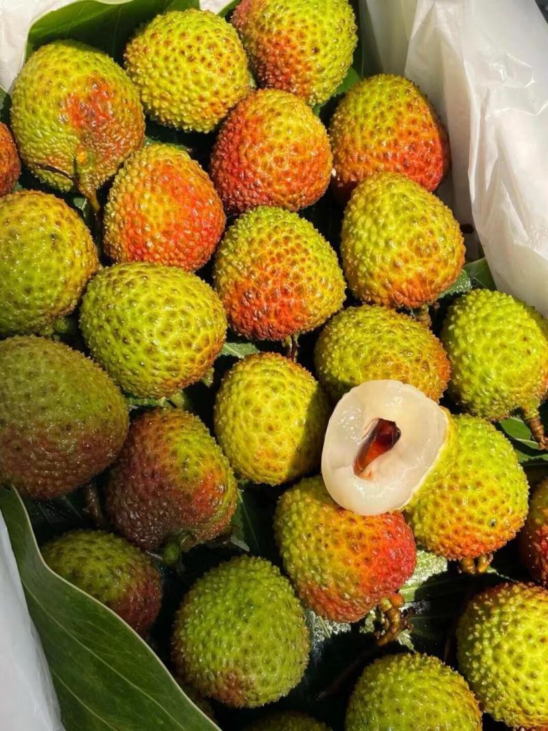 荔枝，现摘现发货！海南妃子笑荔枝大果，新鲜荔枝，包邮到家