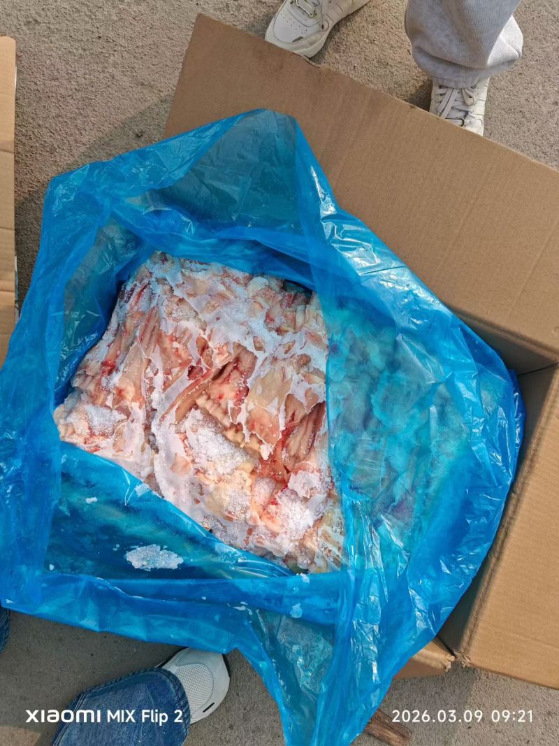 牛蹄筋