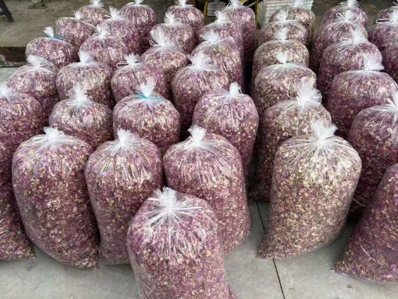 紫色石斛花花型完整现货囤货量大从优支持整车发货