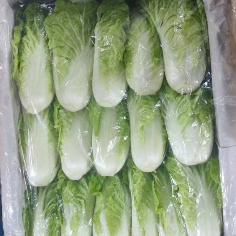 特菜黄白苗