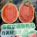 嘉宝瓜4K无籽西瓜好吃精品大量现货新鲜采摘发全国
