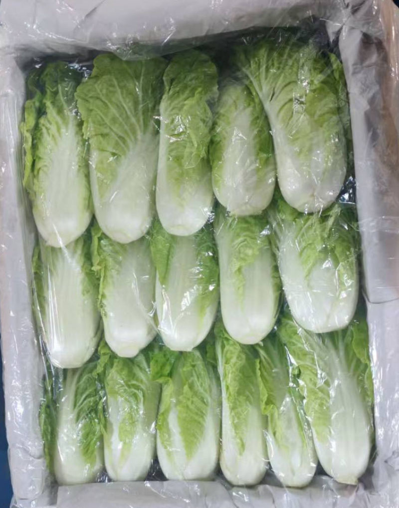 特菜黄白苗