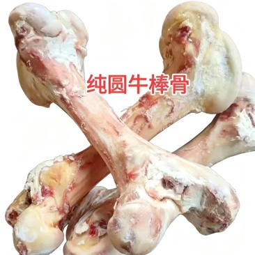 牛棒骨