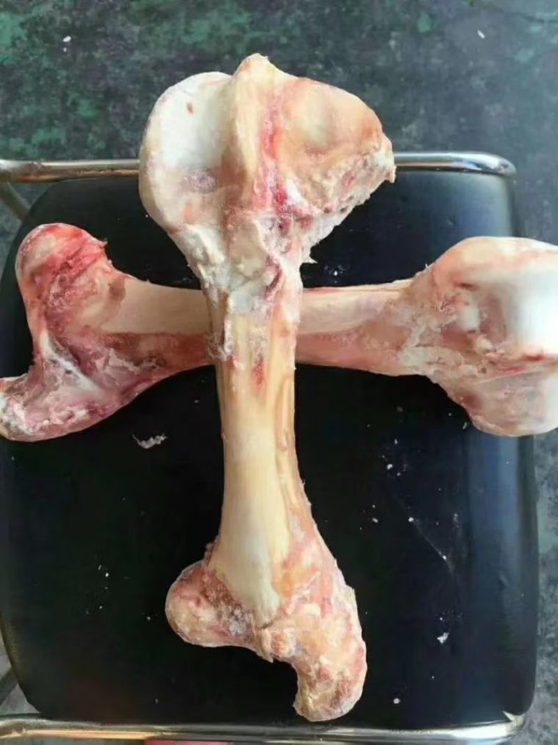 牛棒骨