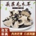 江苏毛木耳