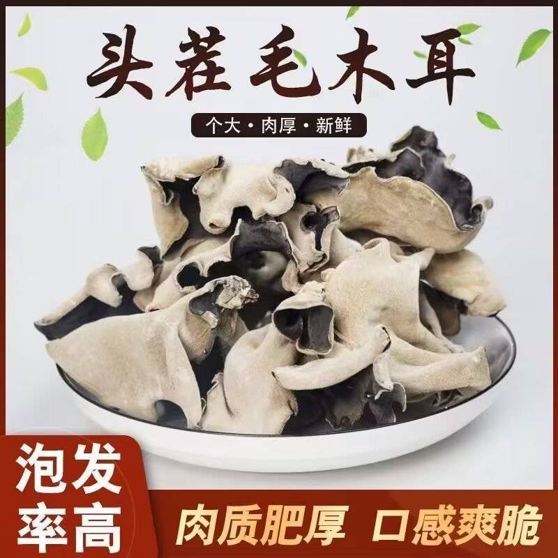 江苏毛木耳