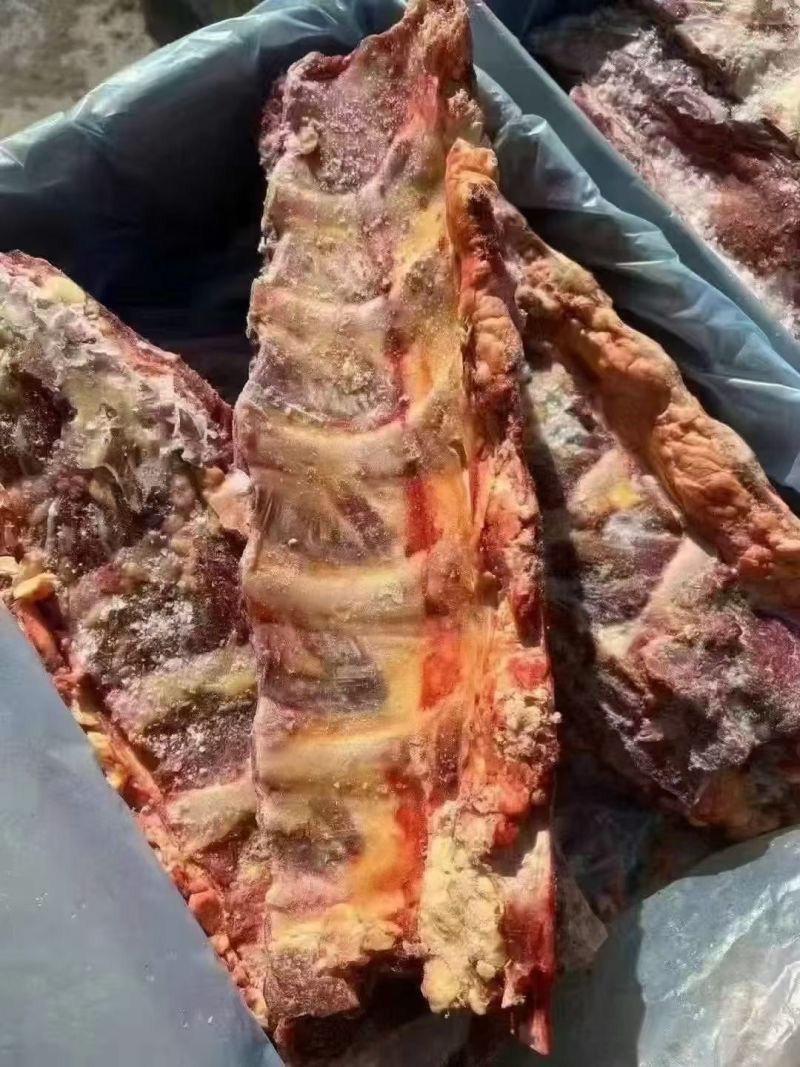 牛脊骨