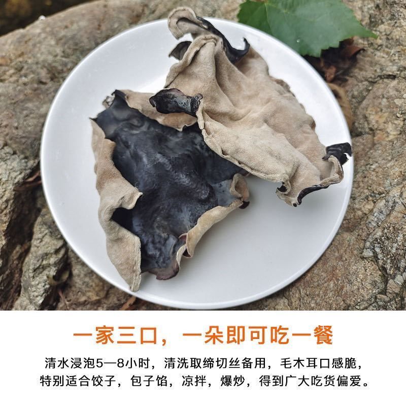 江苏毛木耳
