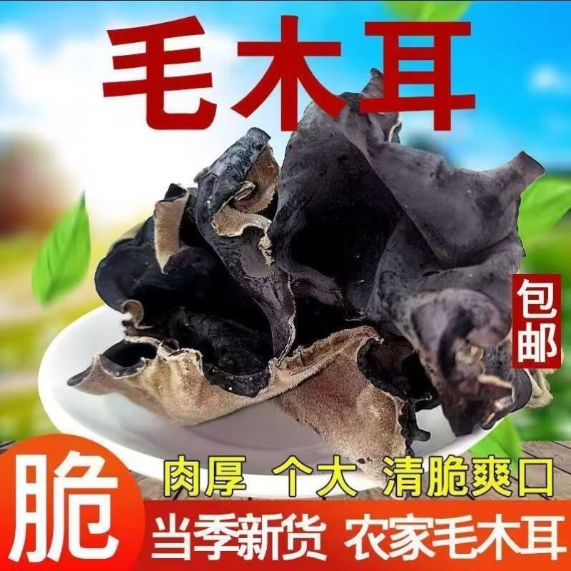 江苏毛木耳