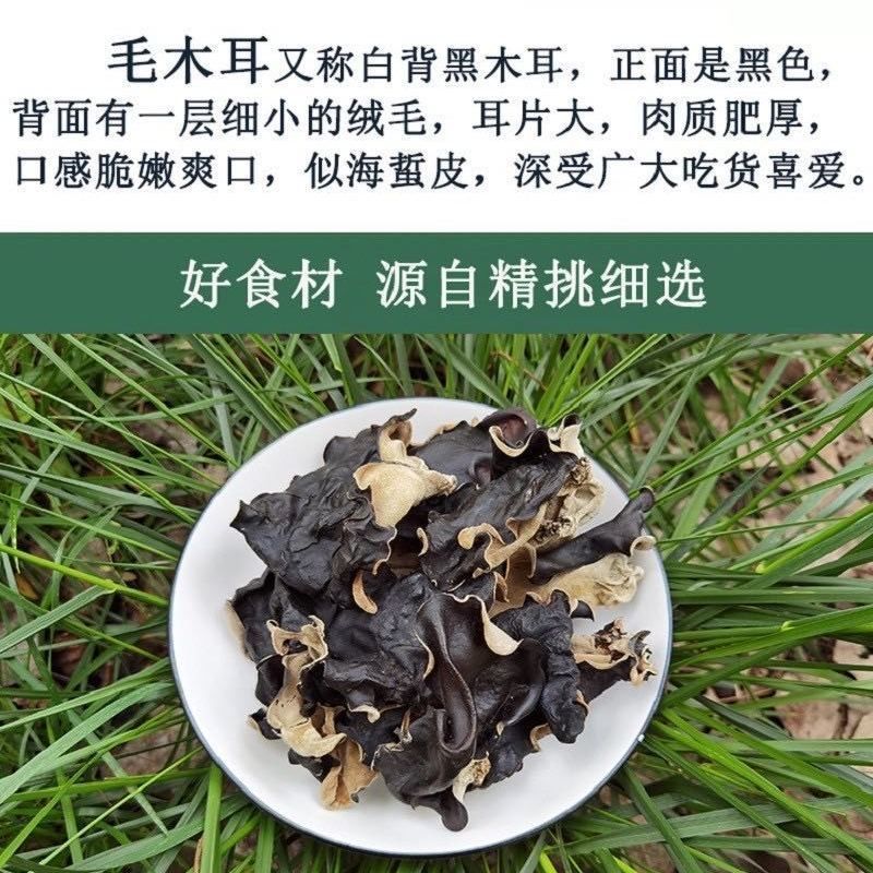 江苏毛木耳