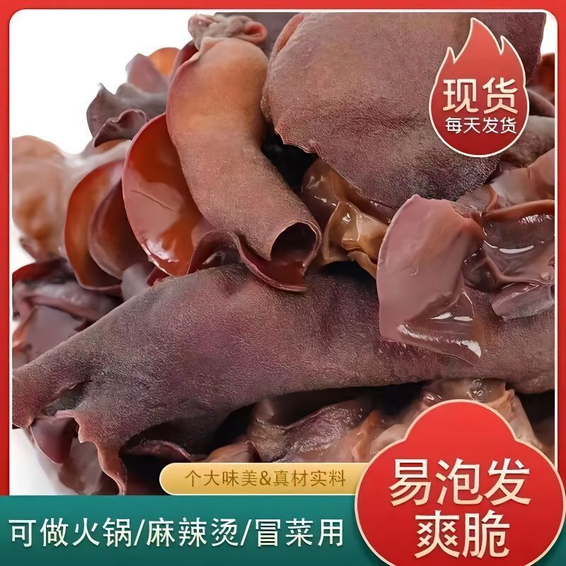 江苏毛木耳