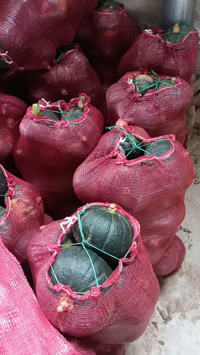 板栗南瓜，大量供应欢迎新老朋友光临本店，10吨起批，