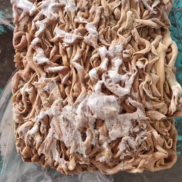 牛小肠