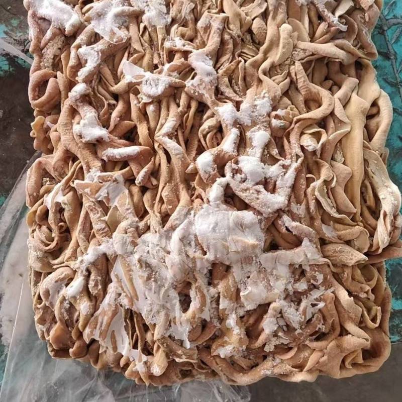 牛小肠
