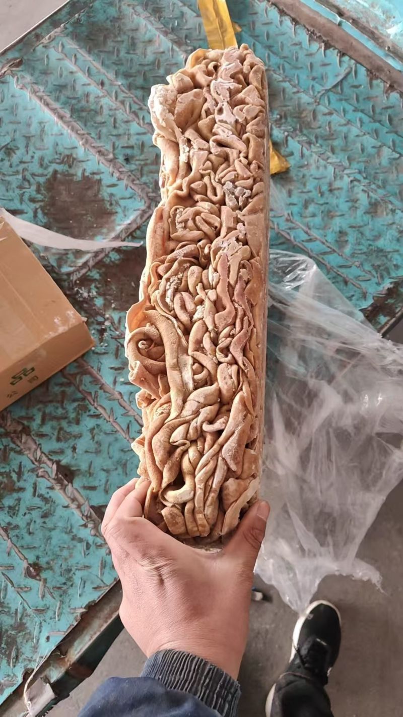 牛小肠