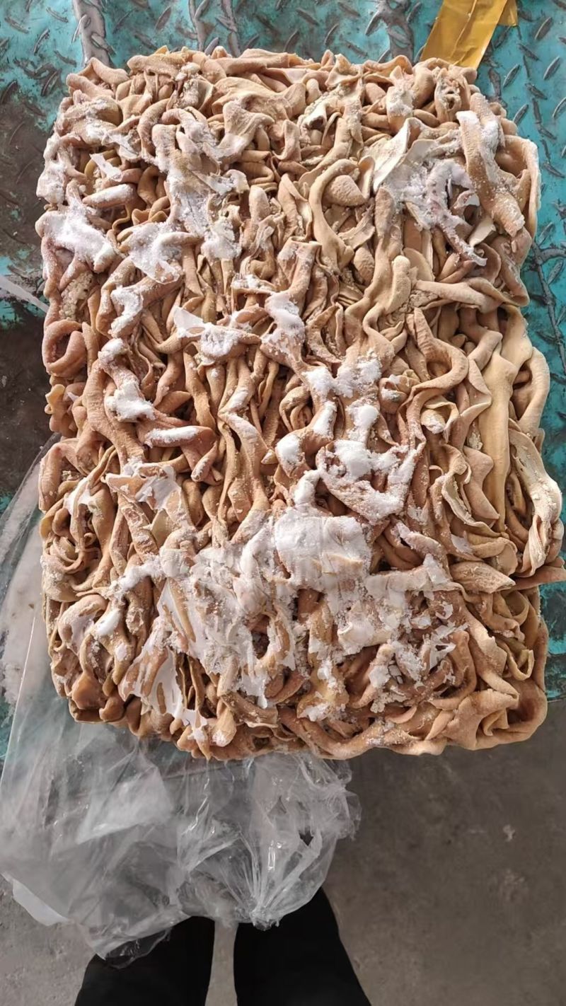 牛小肠