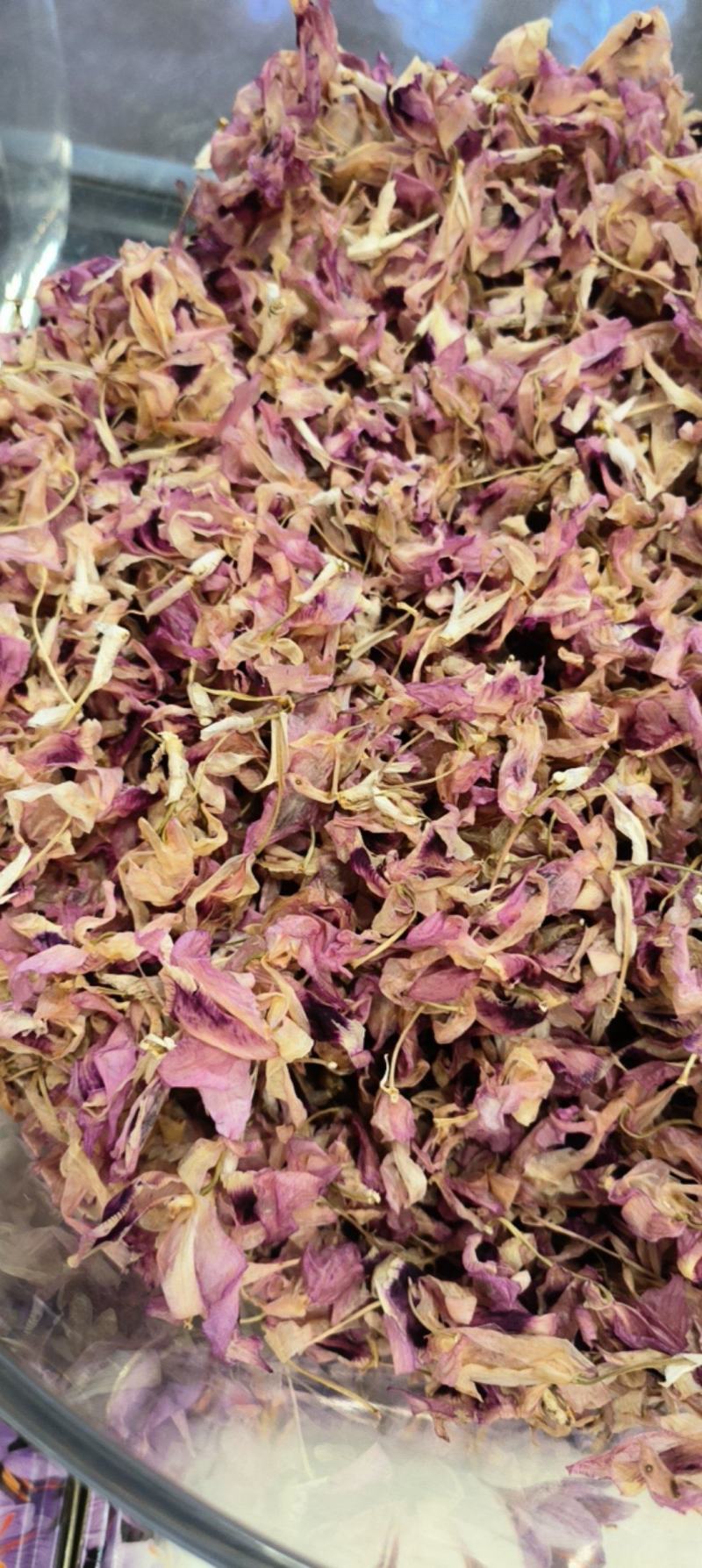 紫色石斛花花型完整现货囤货量大从优支持整车发货