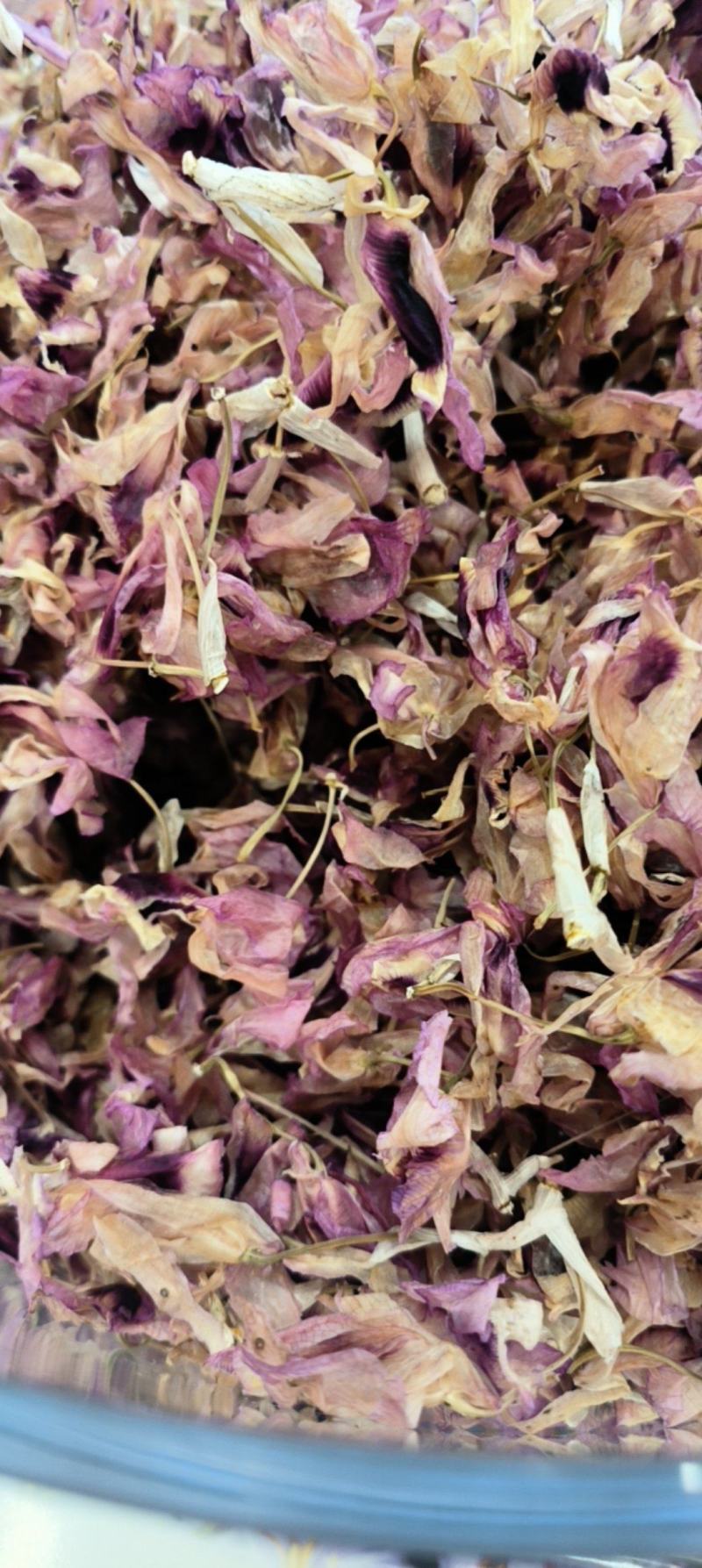 紫色石斛花花型完整现货囤货量大从优支持整车发货