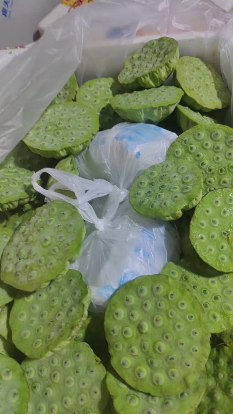 海南三亚水果莲蓬大量上市基地直供全国各地航空直飞