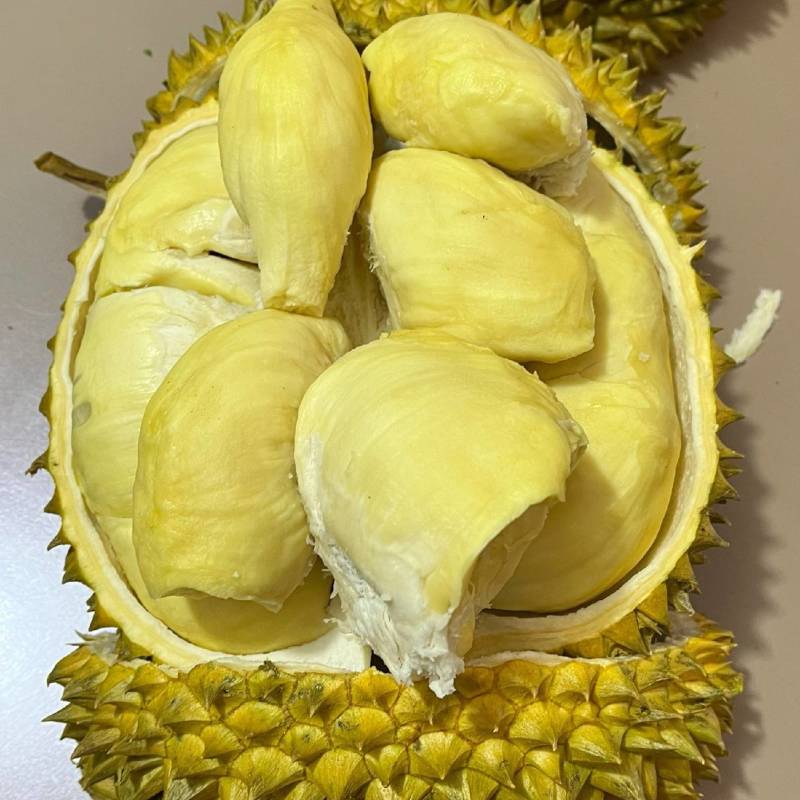 泰国金枕榴莲一手货源