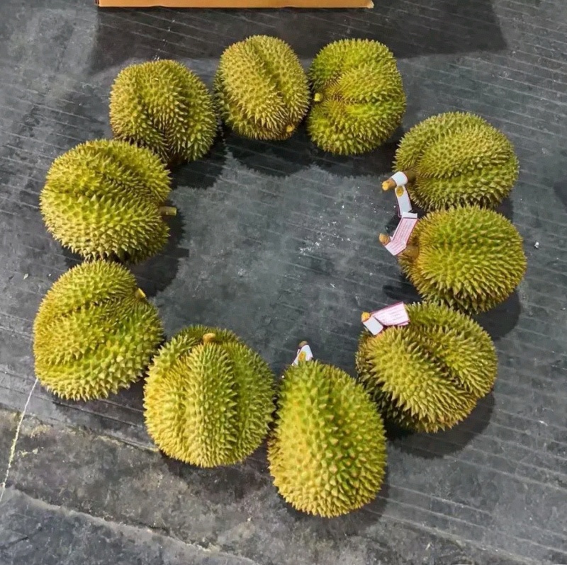 泰国金枕榴莲一手货源