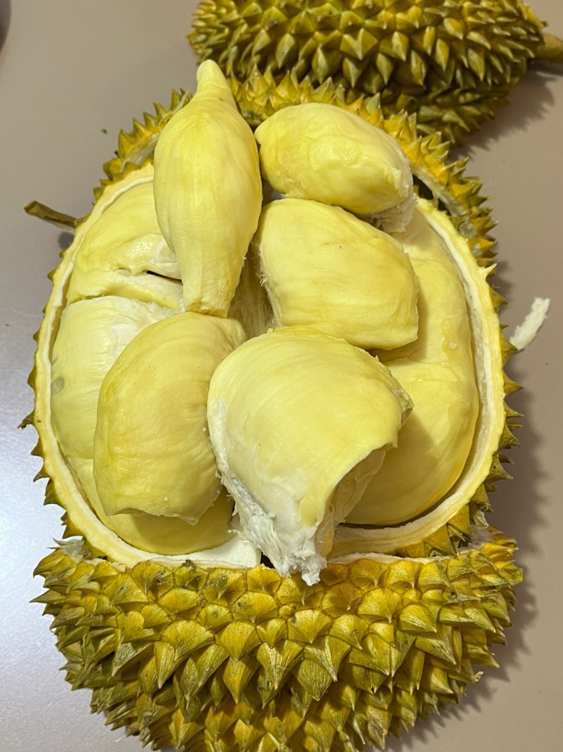 泰国金枕榴莲一手货源